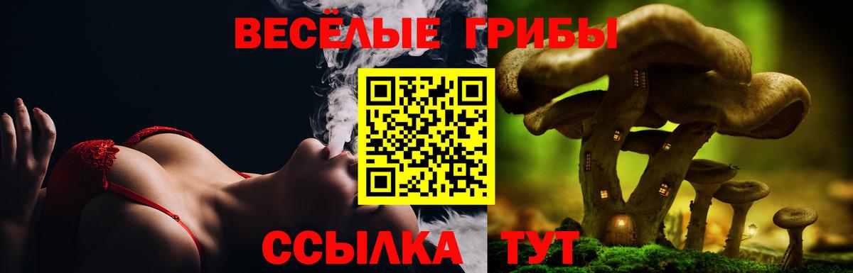 Галлюциногенные грибы MAGIC MUSHROOMS  Вход с VPN  Галлюциногенные грибы прущие грибы  Омск 